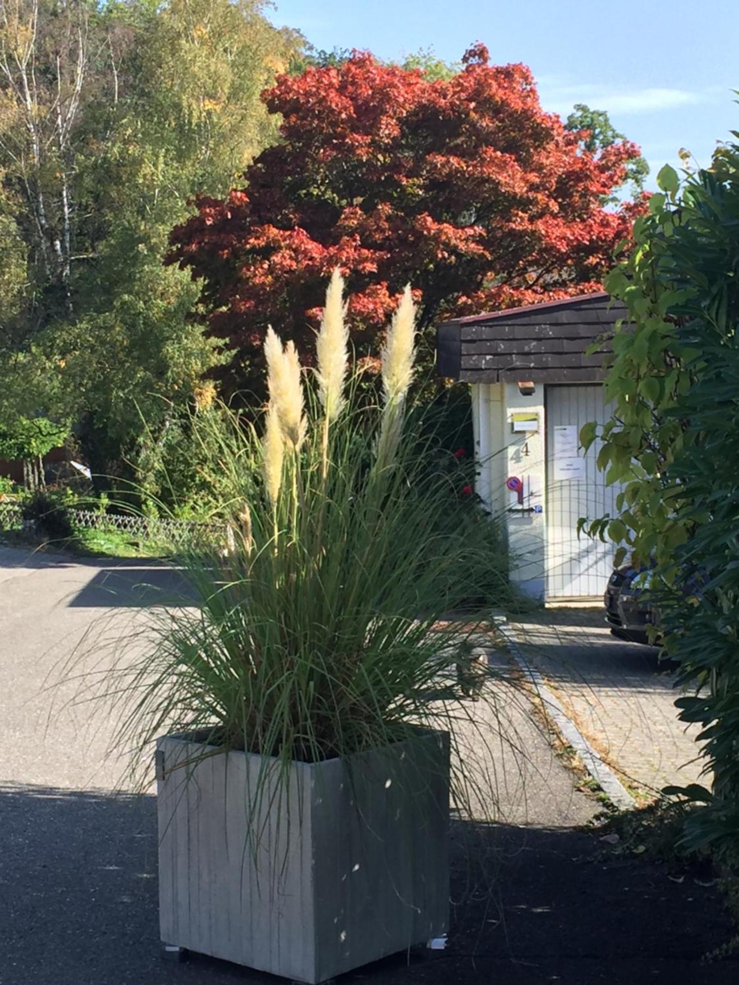 Joline Private Guest Apartment Just Feel At Home Jens Exterior foto